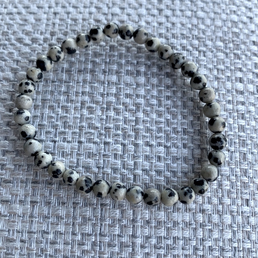 Dalmatian Jasper for the littles